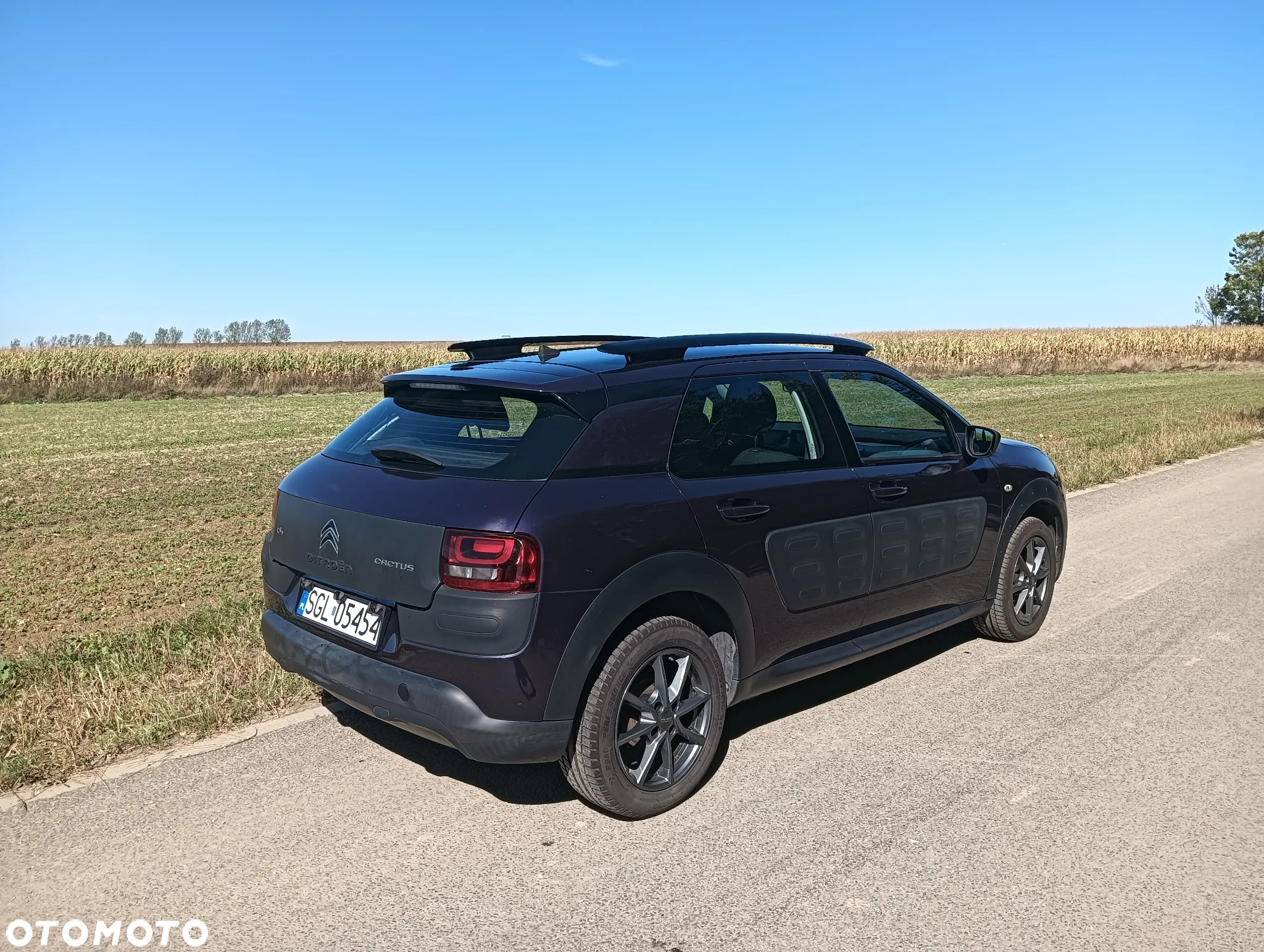 Citroën C4 Cactus 1.6 BlueHDi Feel - 5