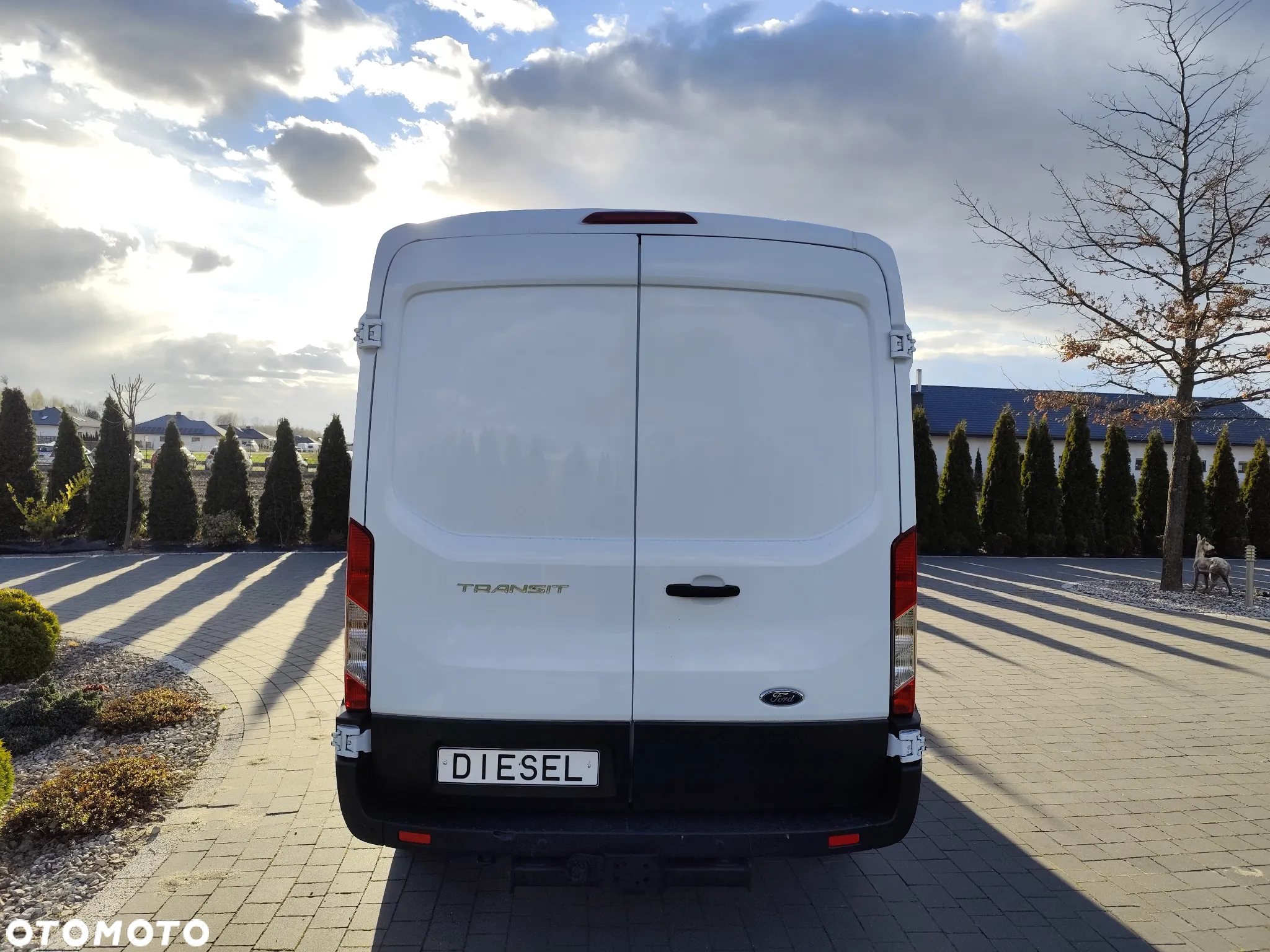 Ford Transit - 7