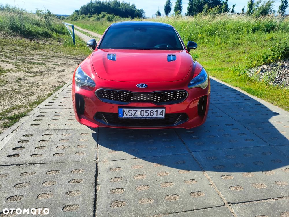 Kia Stinger - 19
