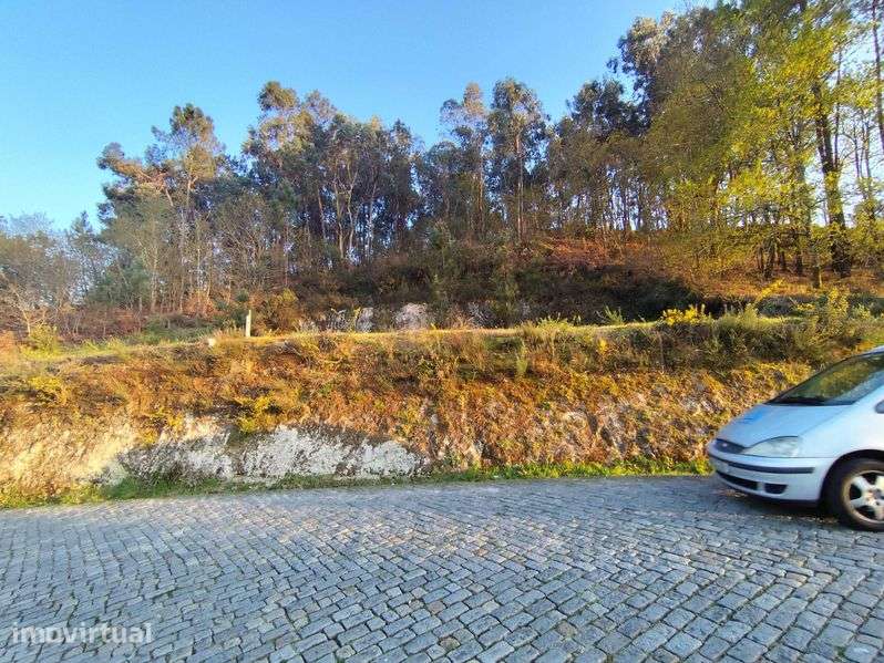 TERRENO PARA CONSTRUÇÃO -OLIVEIRA -VILA MEÃ-AMARANTE - Grande imagem: 3/7
