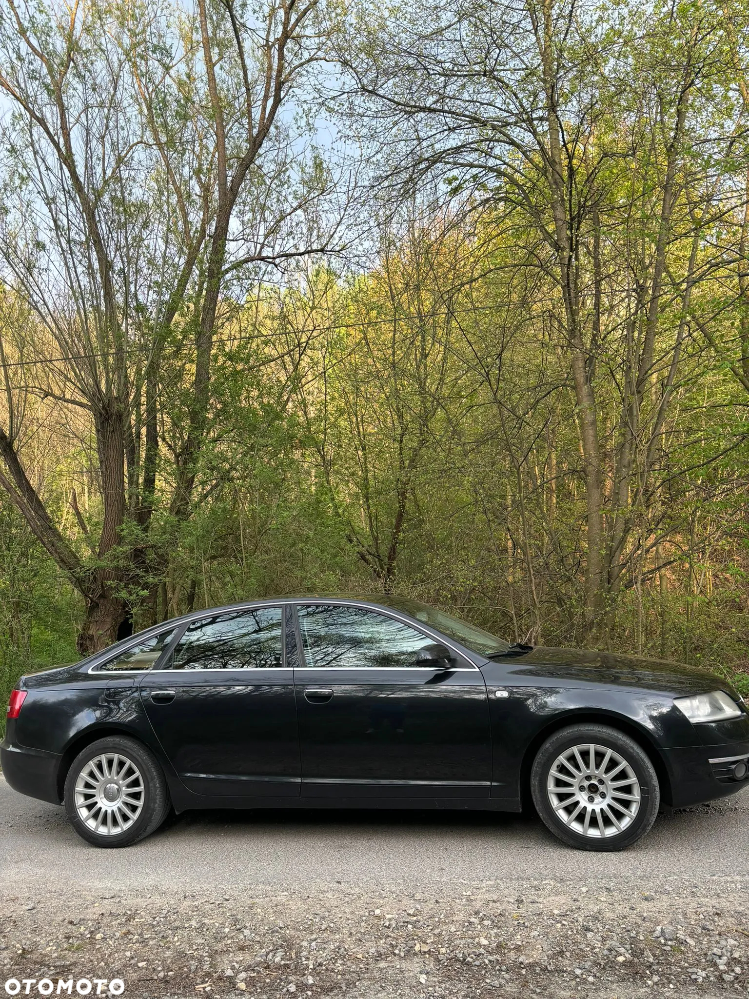 Audi A6 3.0 TDI Quattro Tiptronic - 19