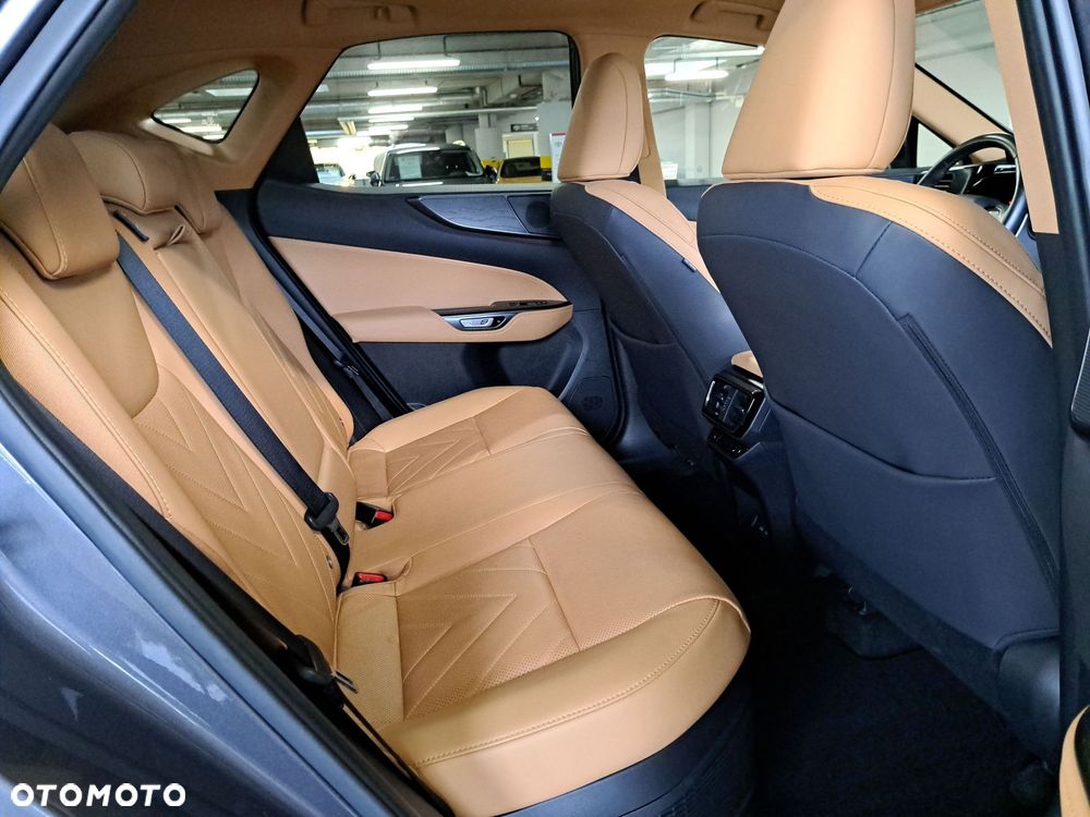 Lexus NX - 15
