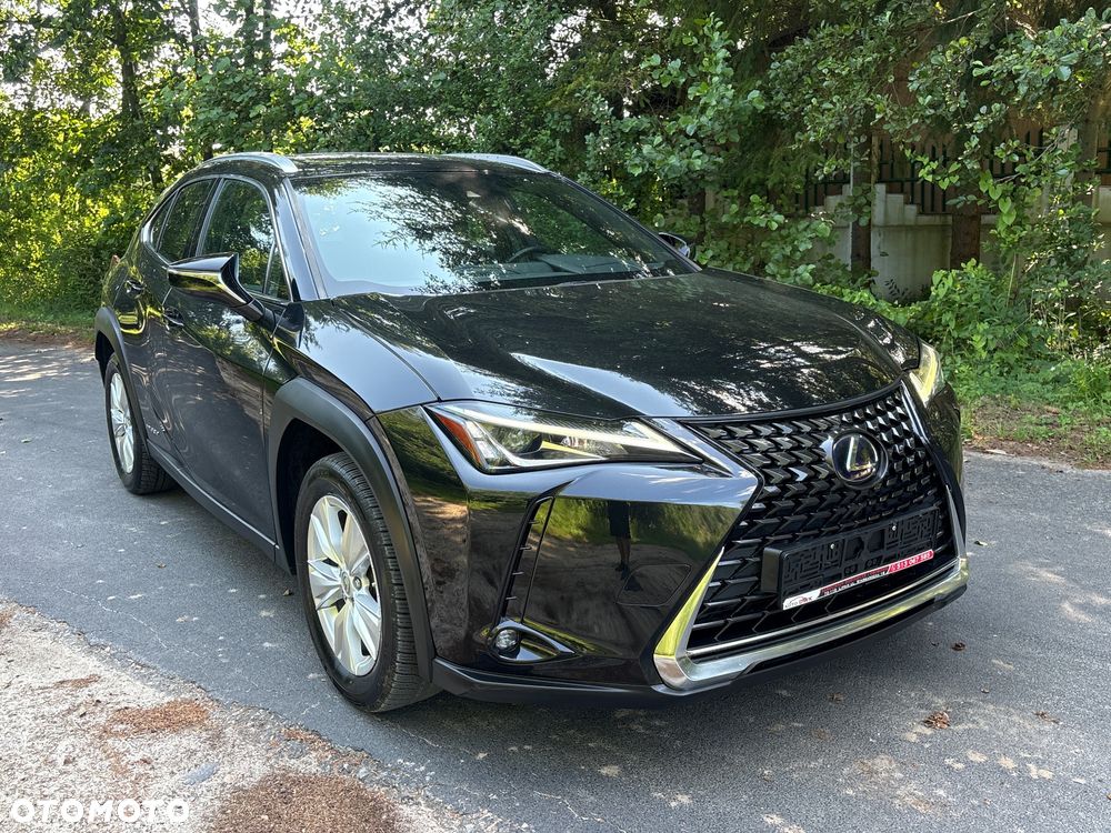 Lexus UX - 6