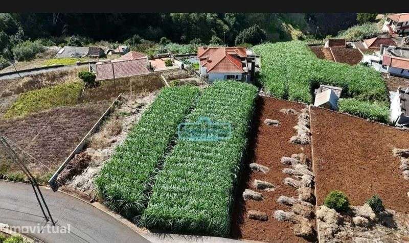 Terreno nos canhas ,ponta do sol - Grande imagem: 5/12