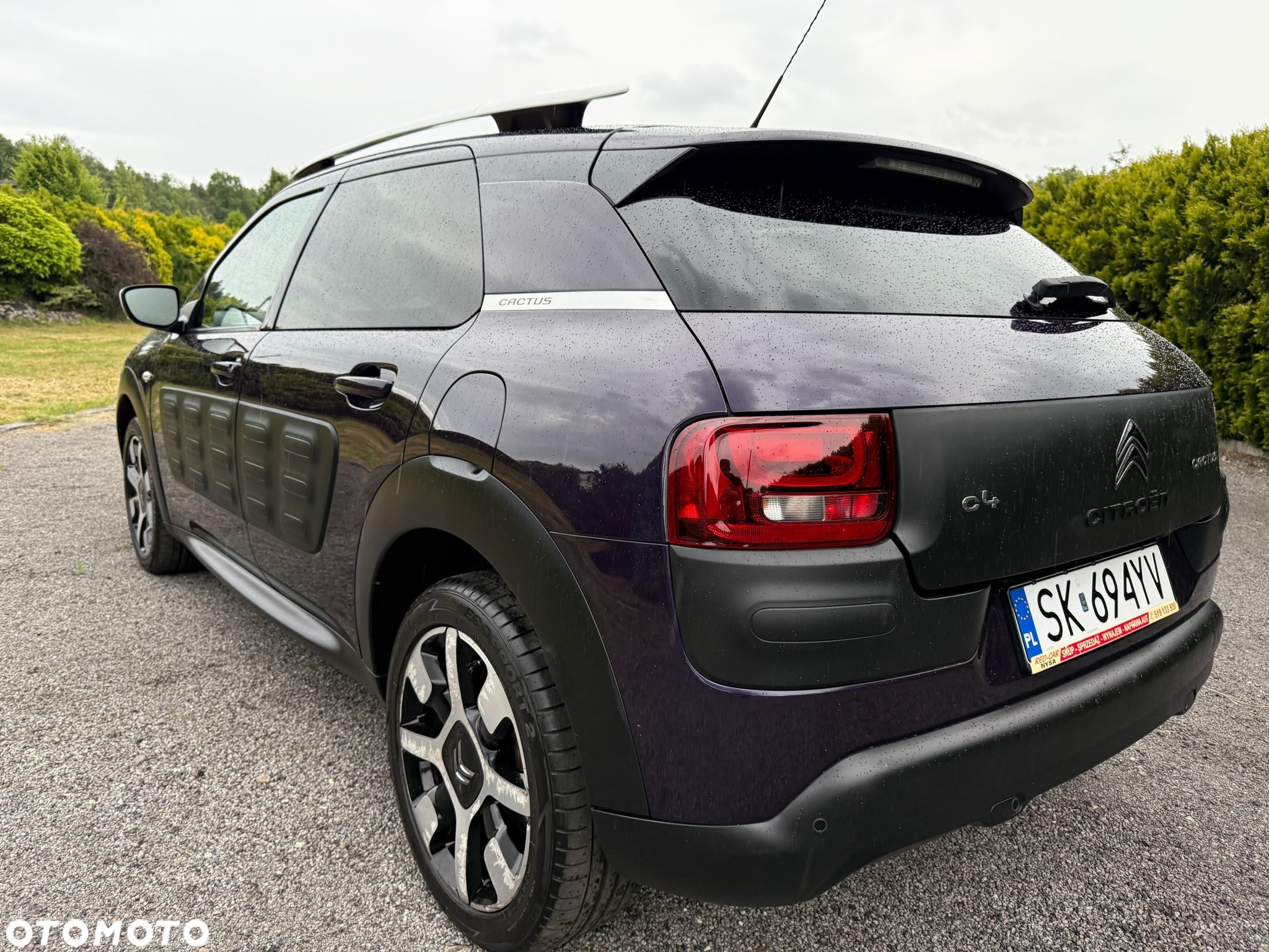 Citroën C4 Cactus 1.2 PureTech Shine S&S - 9