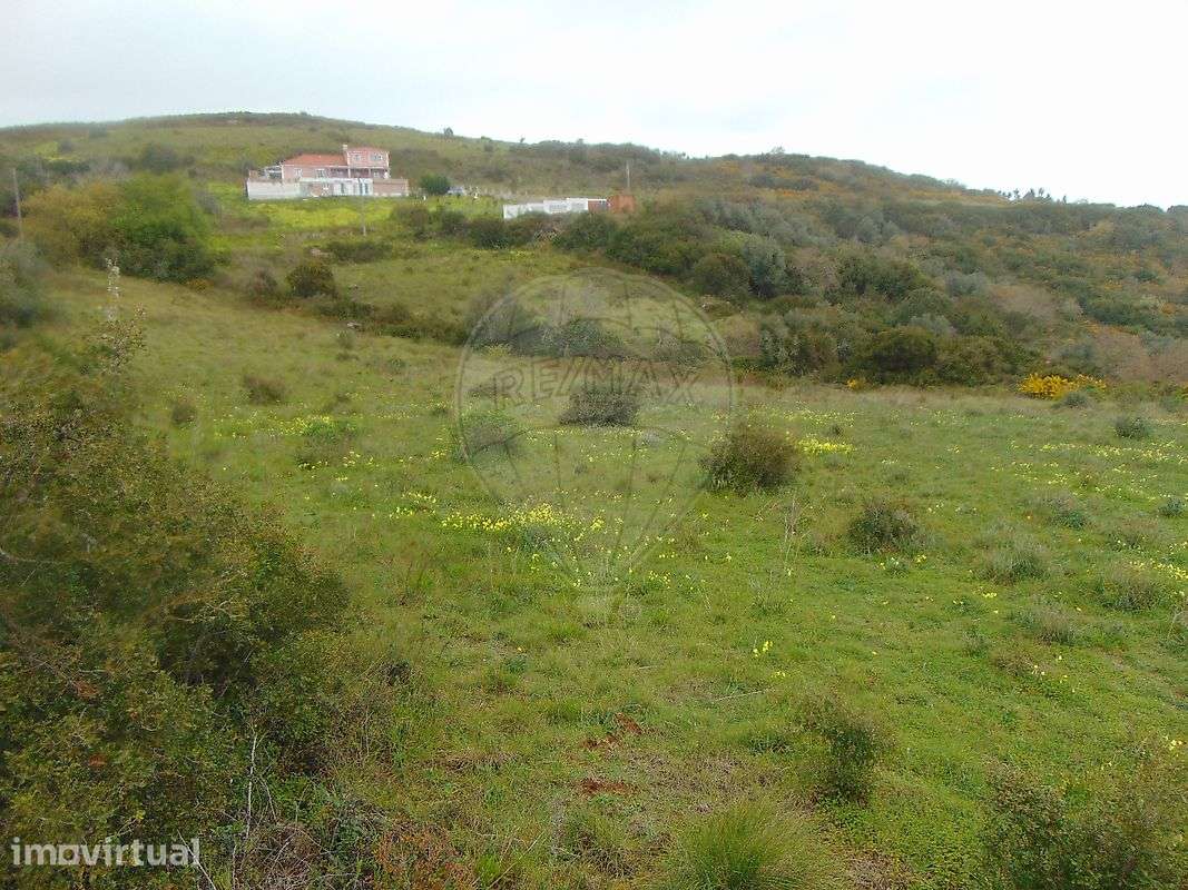 Terreno  para venda - Grande imagem: 4/5