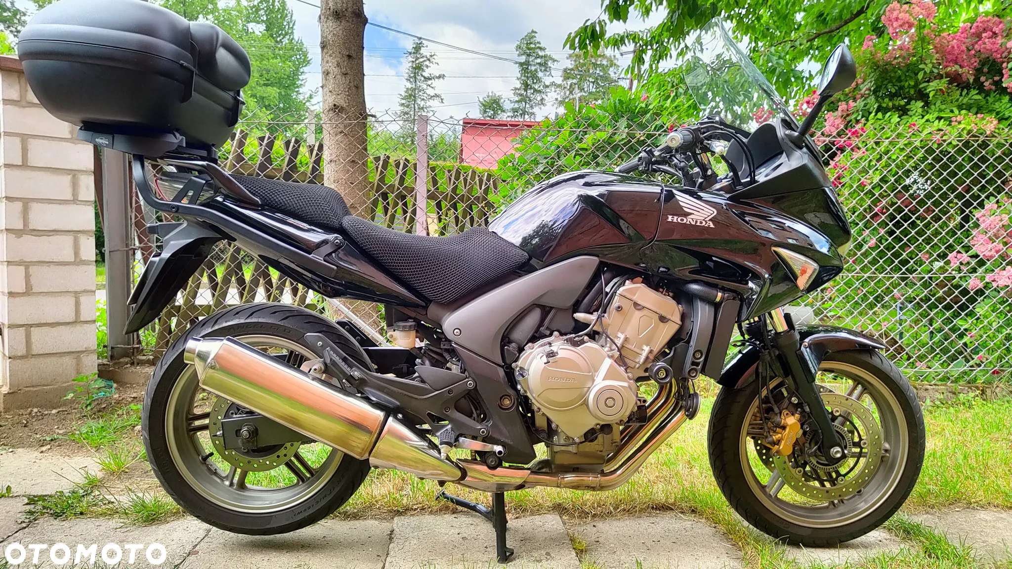 Honda CBF - 12