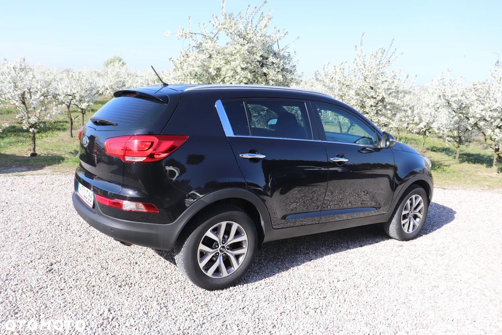 Kia Sportage 1.6 GDI Business Line L 2WD - 5