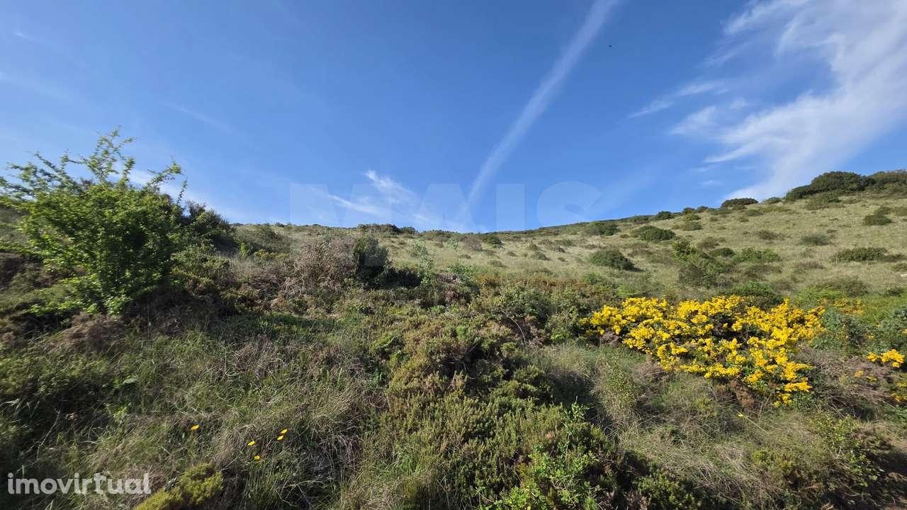 Terreno Rústico C/ Vista desafogada - Grande imagem: 5/11