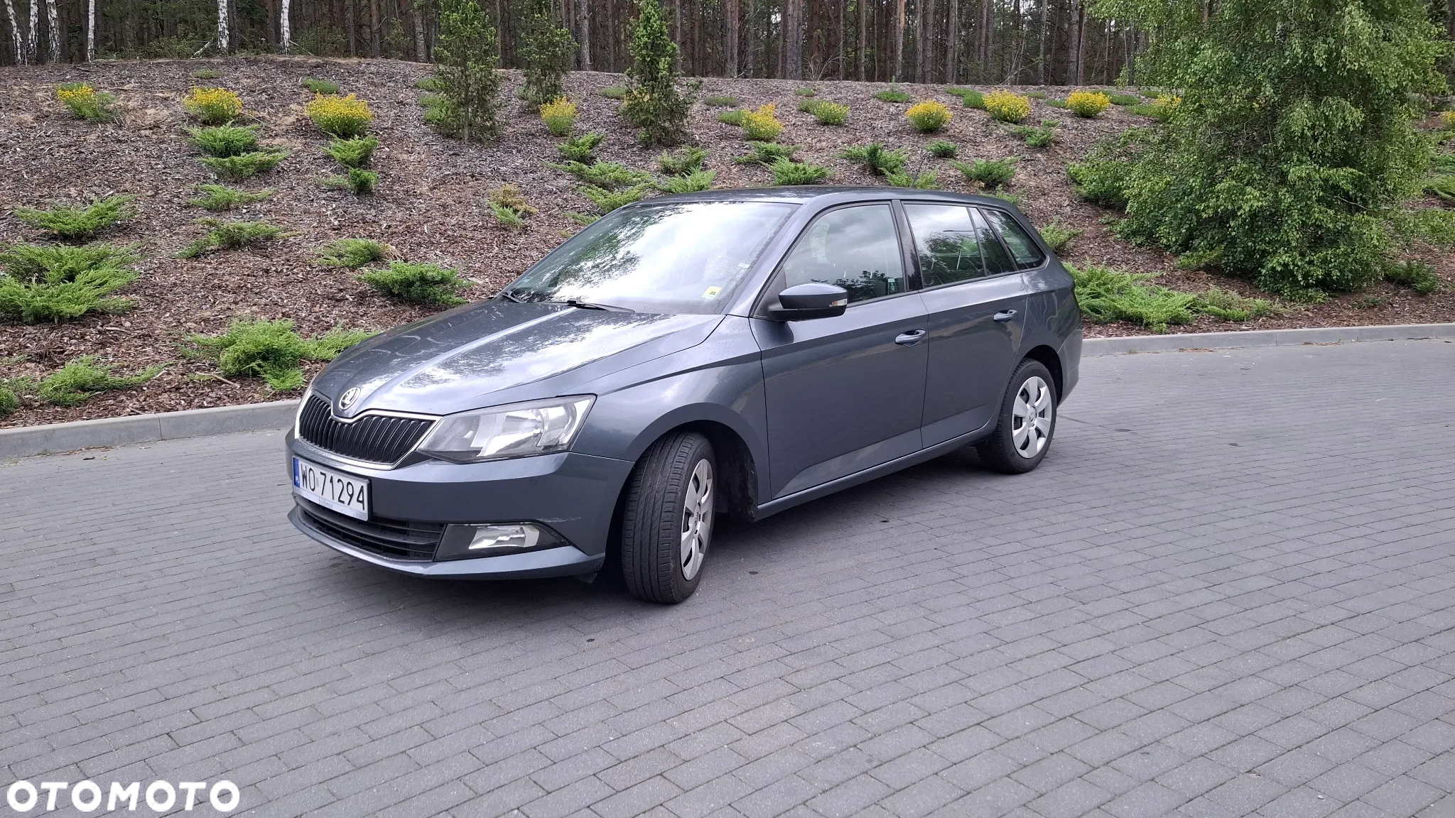 Skoda Fabia 1.4 TDI Ambition - 9