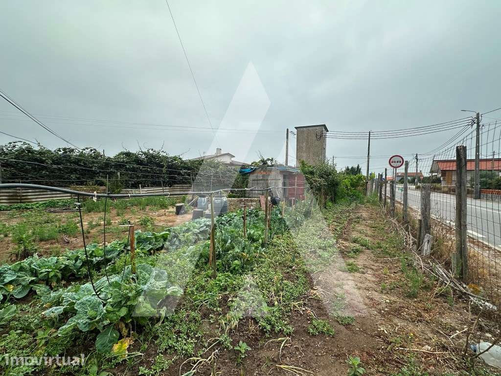 Terreno em Covões - Grande imagem: 4/7
