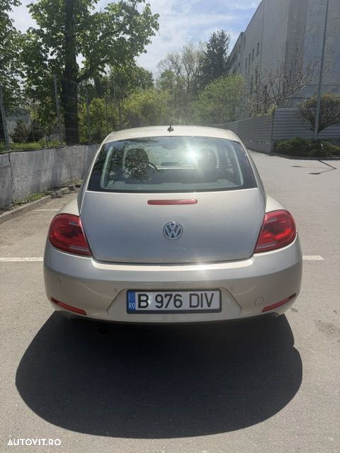 Volkswagen Beetle - 3