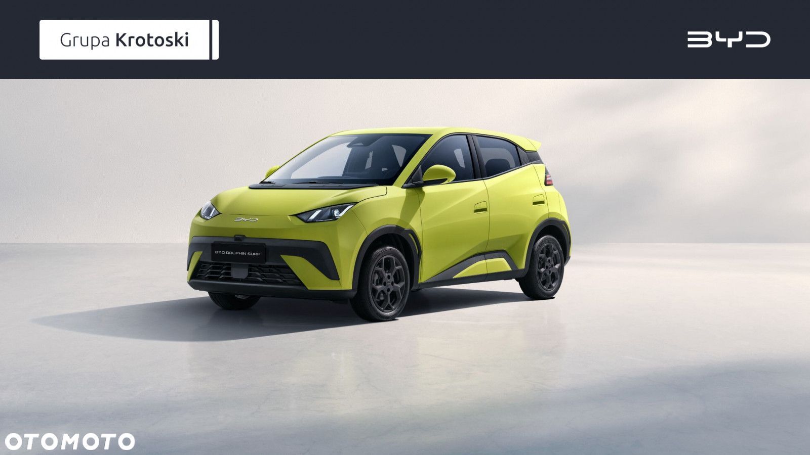 BYD Dolphin Mini - 1
