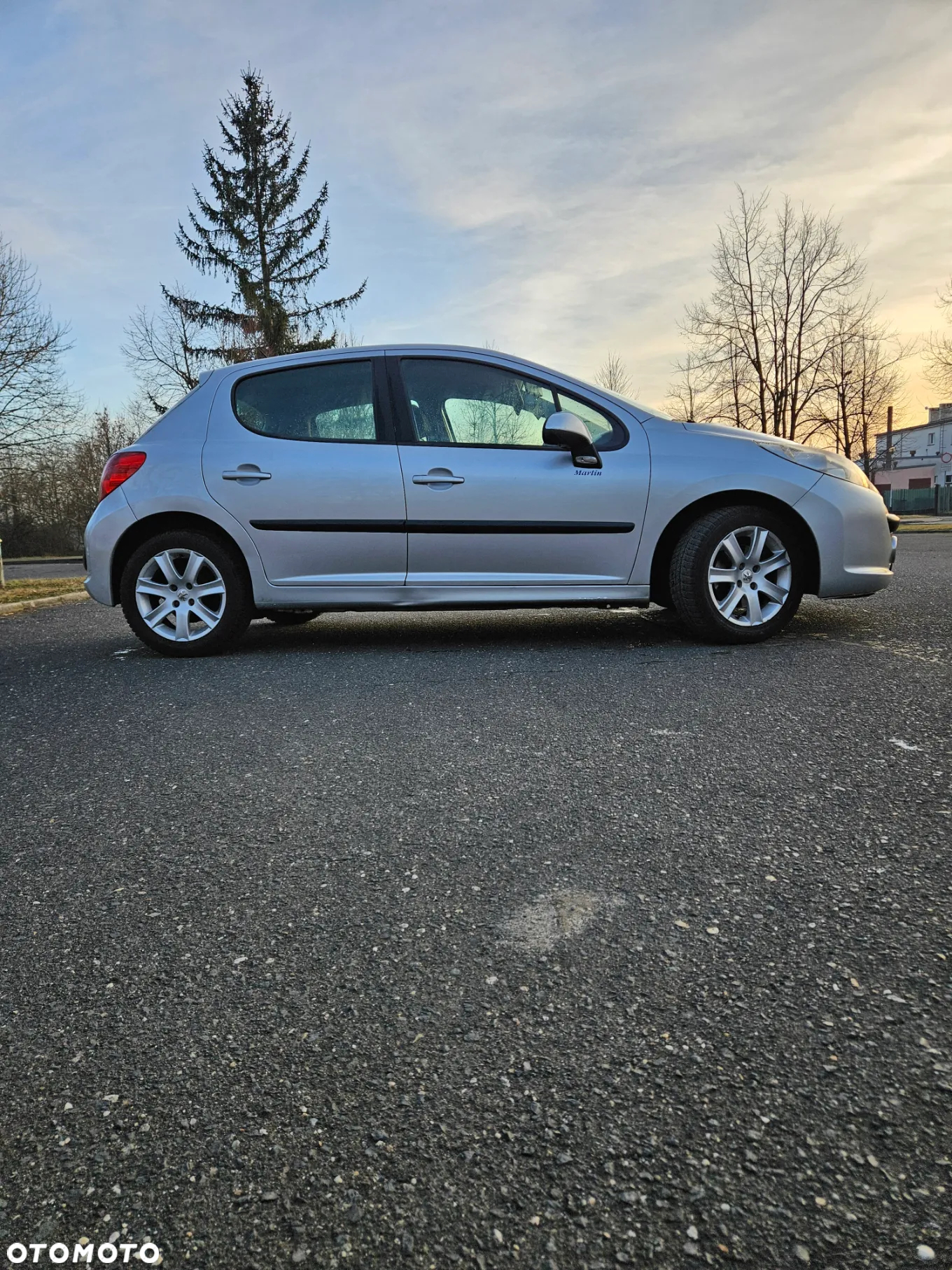 Peugeot 207 - 4