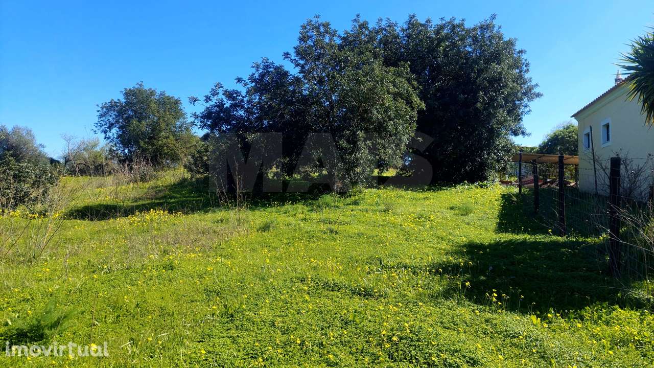 Lote de Terreno Rustico - Grande imagem: 2/4