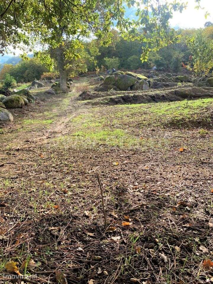 Terreno / Resende, Anreade e São Romão de Aregos - Grande imagem: 2/10