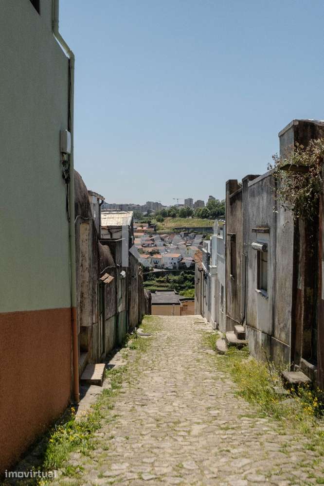 T1 totalmente renovado com jardim privativo - Grande imagem: 5/15
