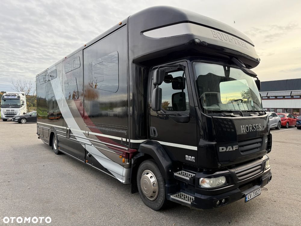 DAF Equitrek Koniowóz, Pop-out - 3