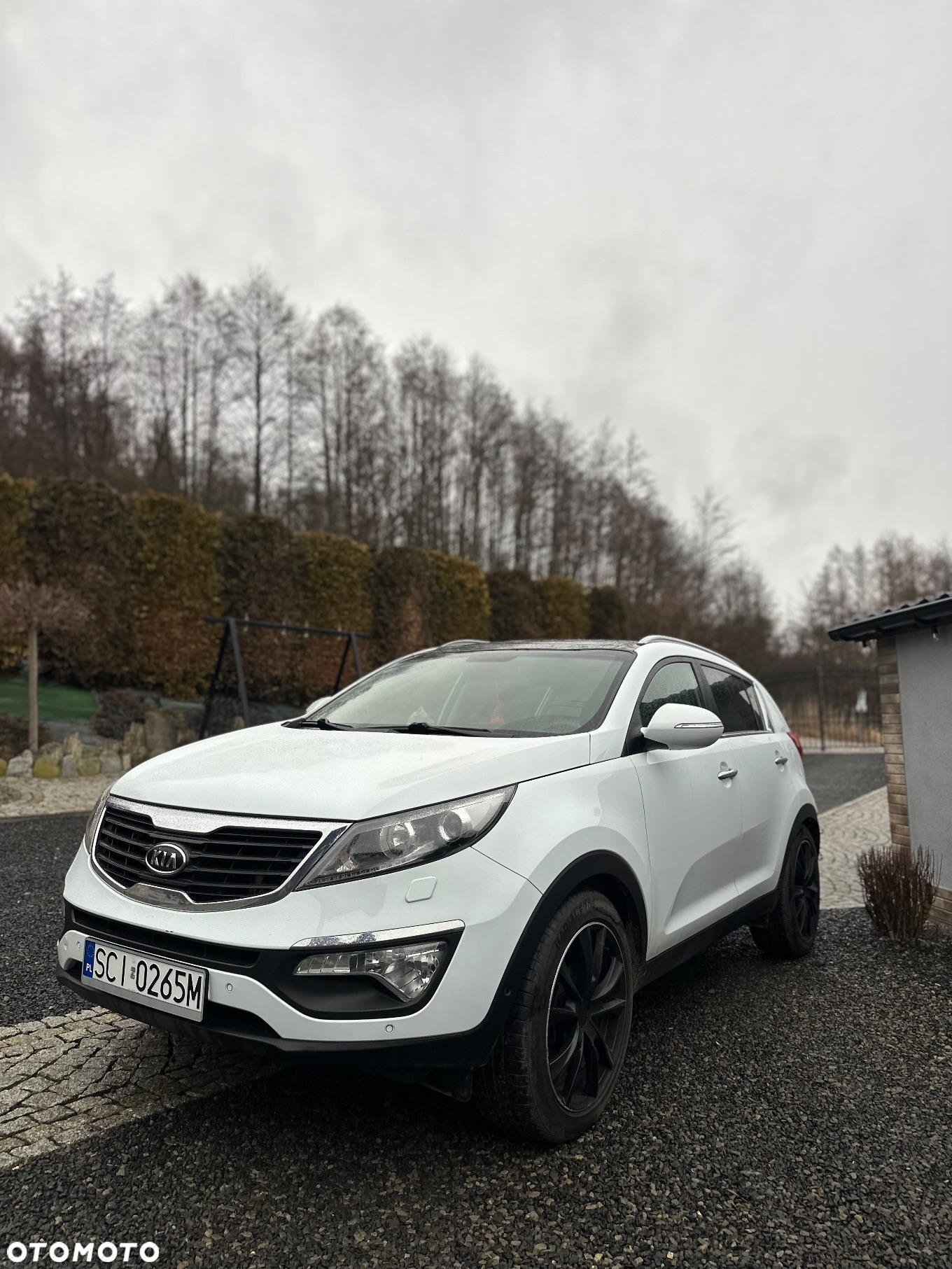 Kia Sportage - 3