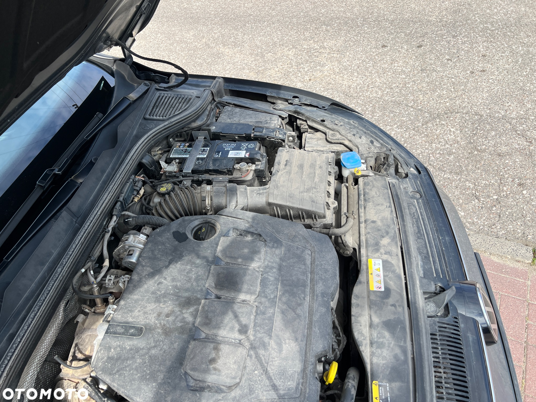 Volkswagen Golf VIII 2.0 TDI Style - 24