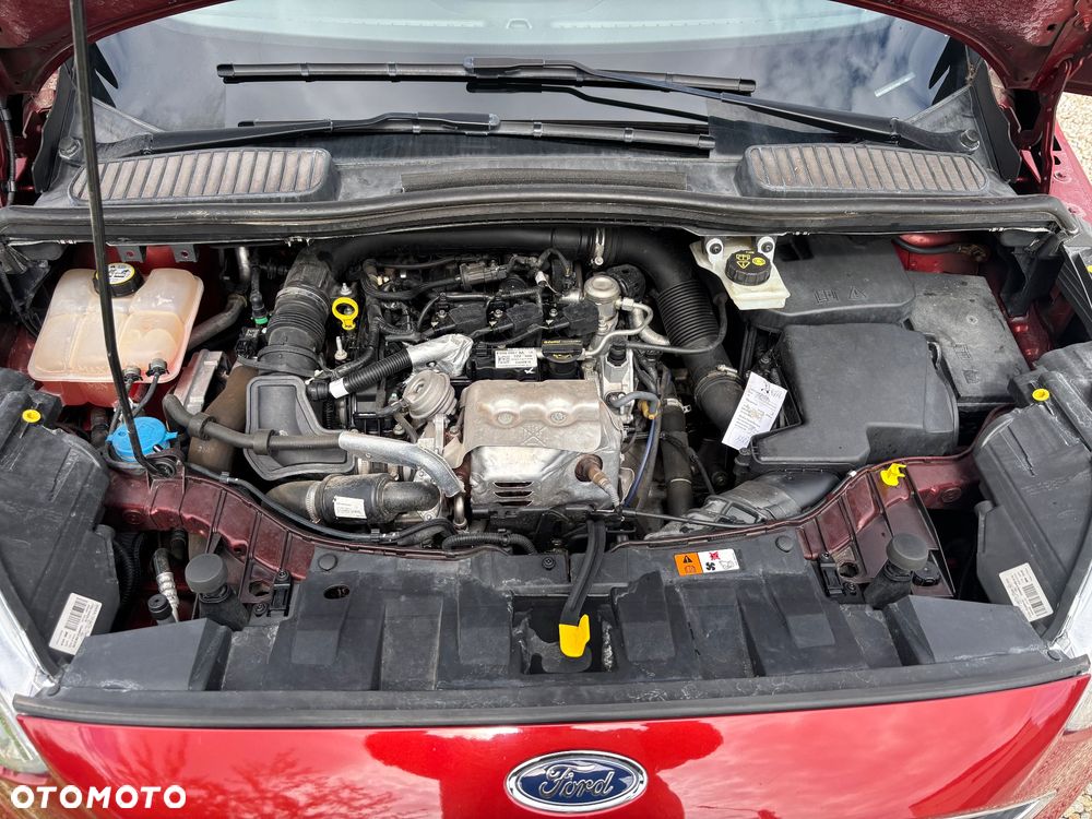 Ford C-MAX 1.0 EcoBoost Ambiente ASS - 10