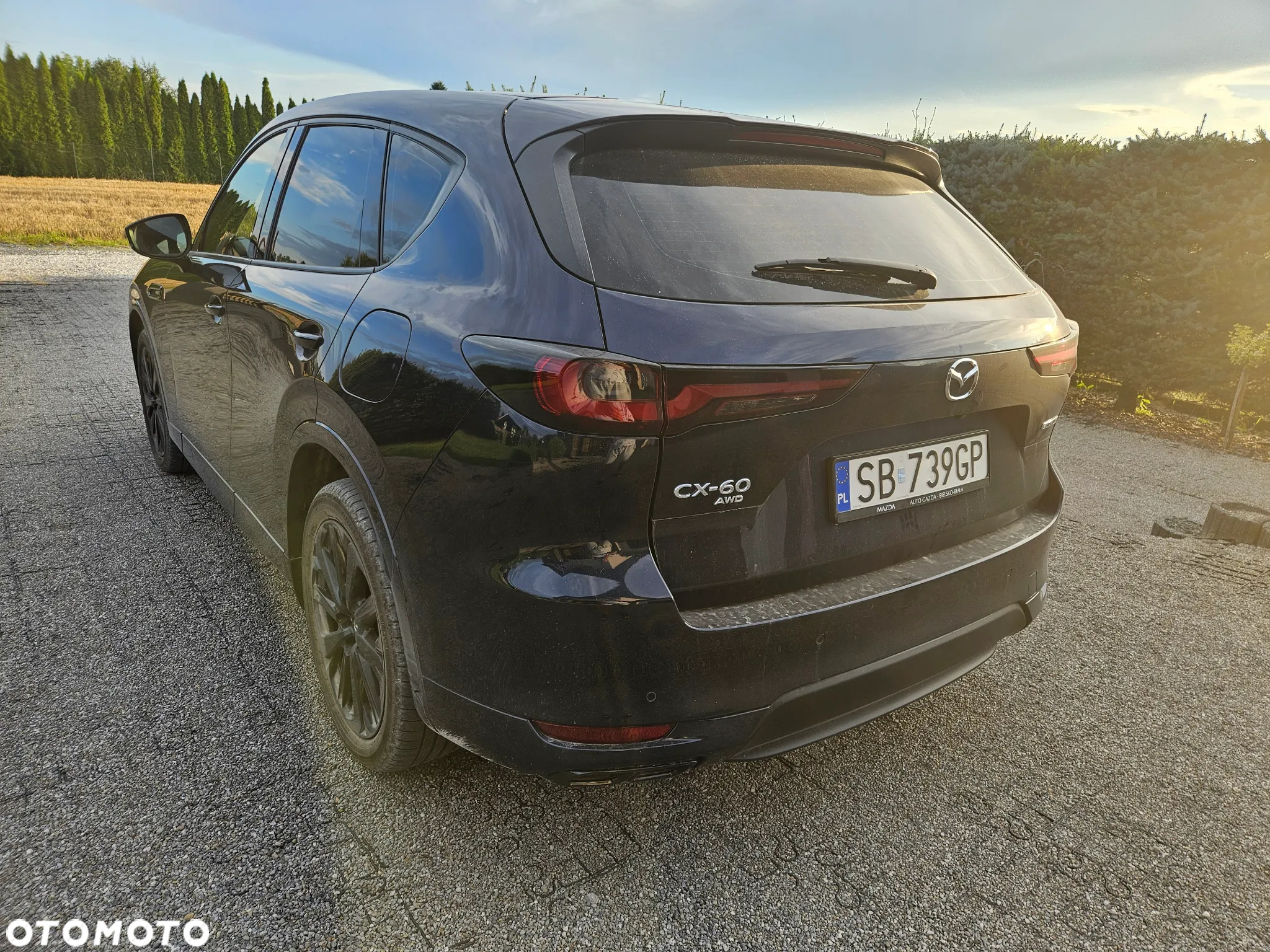 Mazda CX-60 2.5 PHEV Homura AWD - 5