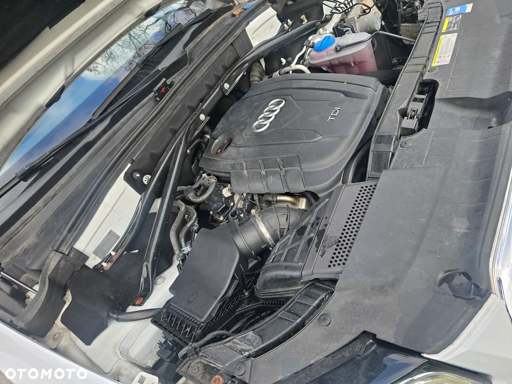Audi Q5 - 19