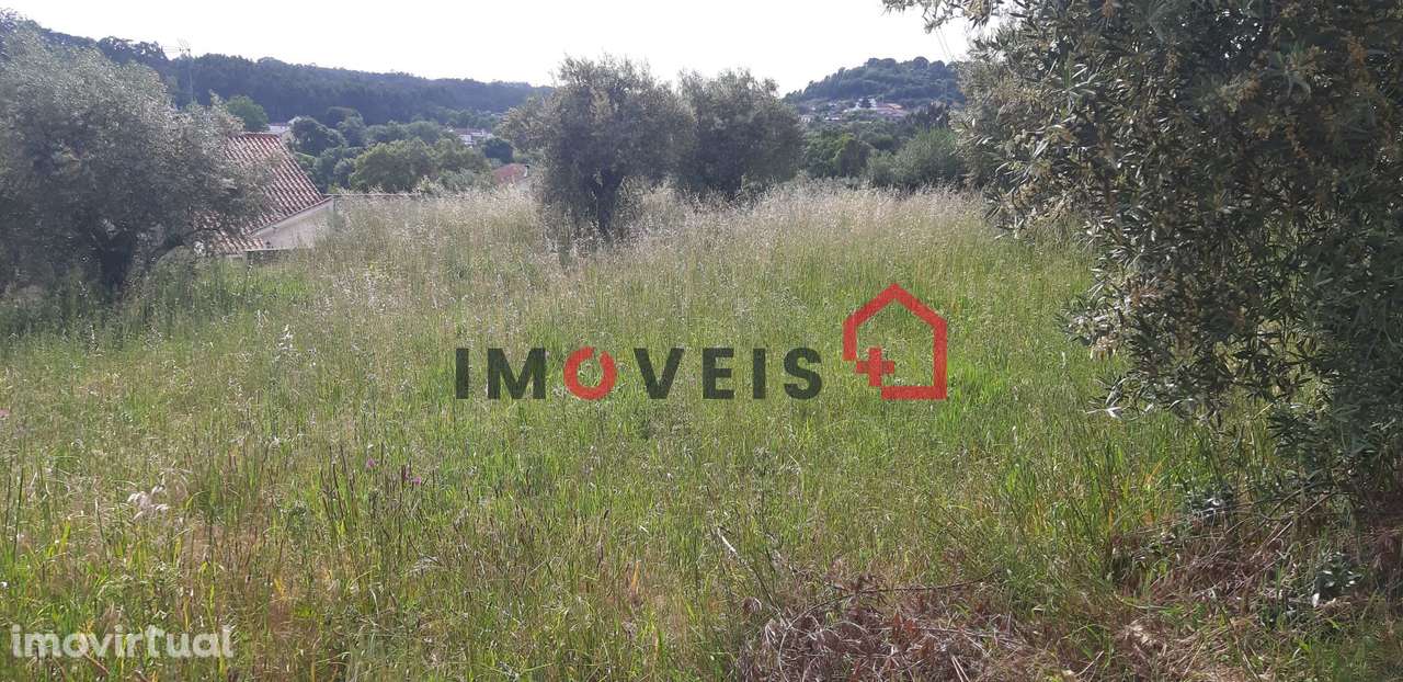 Terreno para construção - Grande imagem: 3/3