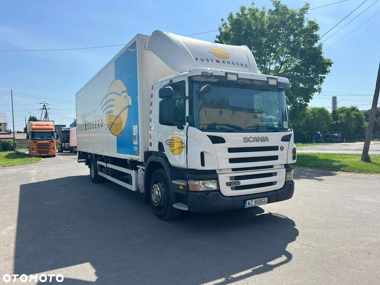 Scania P230 4x2 - 2