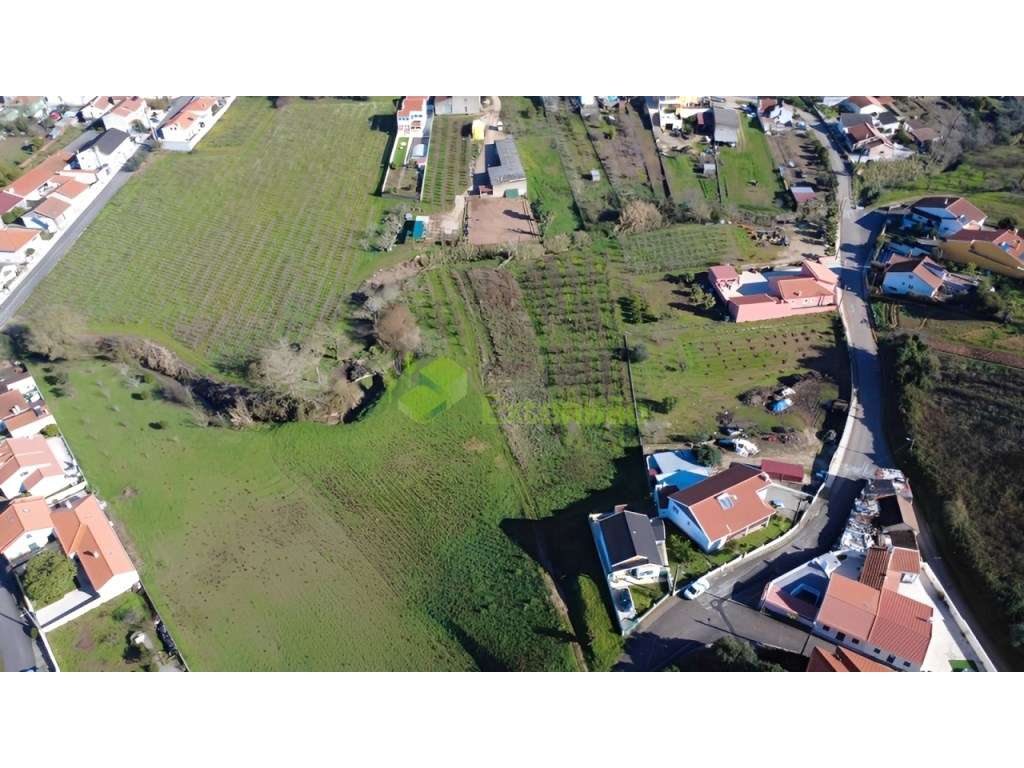 Terreno para Construção em Vilar - Cadaval | A 45 minutos de Lisboa - Grande imagem: 5/19