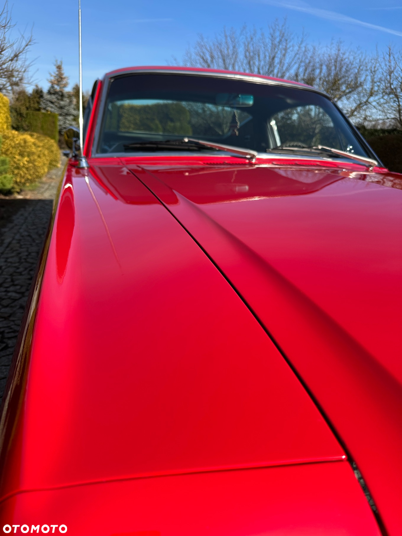 Ford Mustang - 25