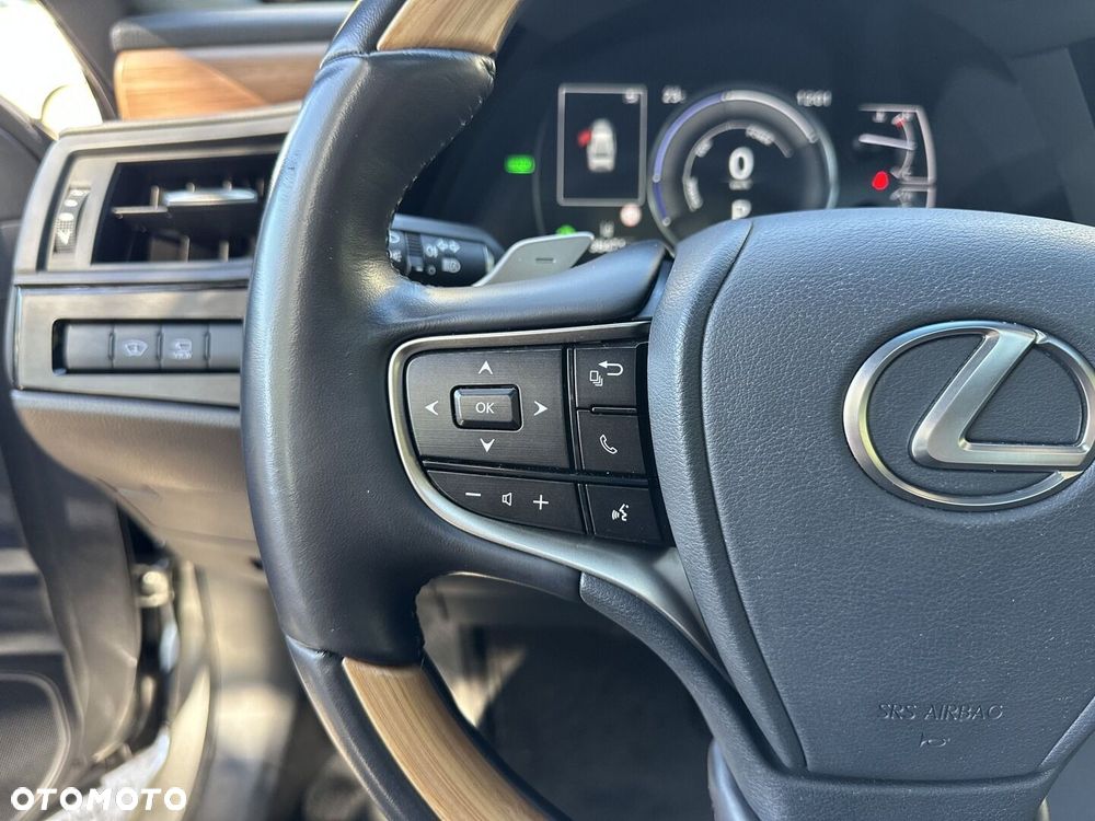 Lexus ES 300h Omotenashi - 17
