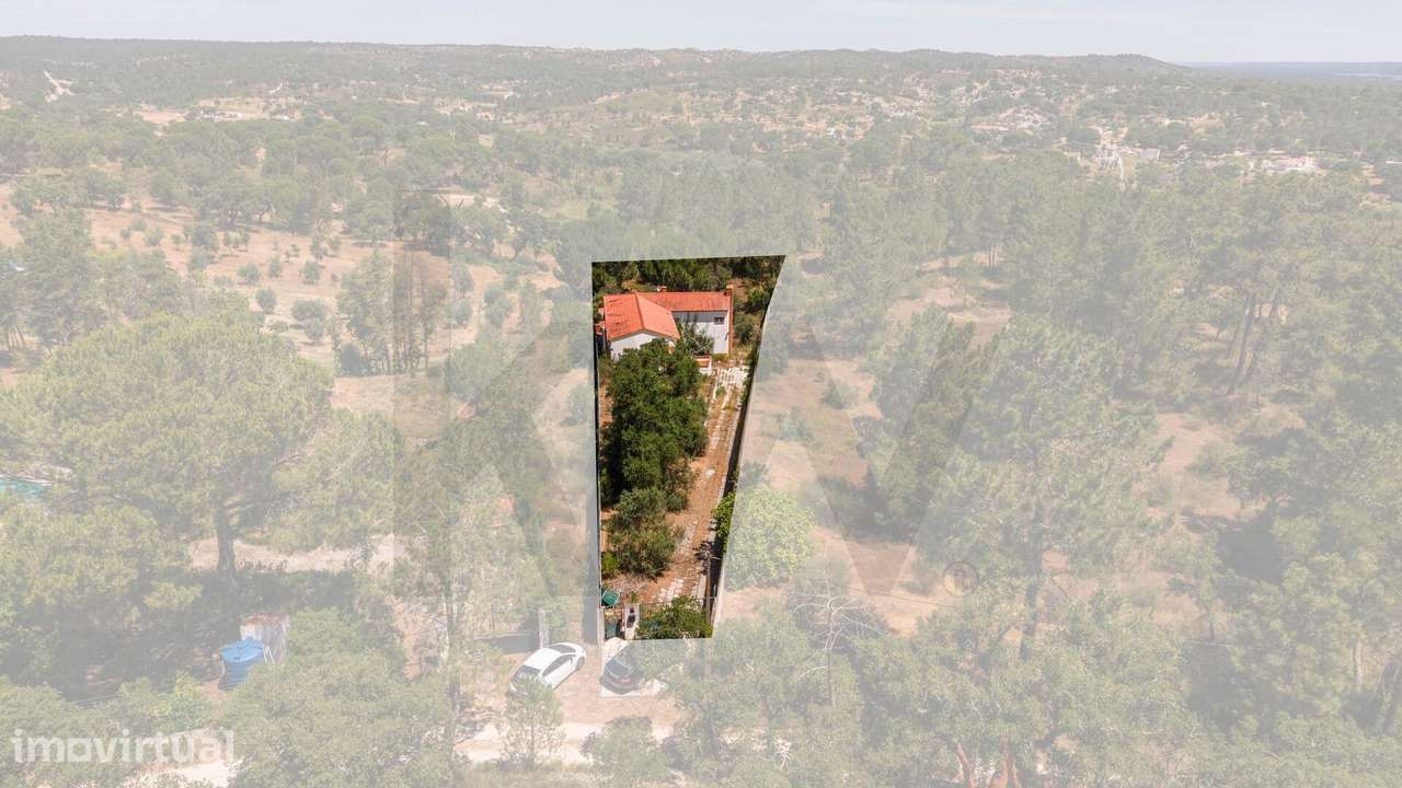 Moradia T4 com Arquitetura Tradicional Alentejana com Terreno de 3750m - Grande imagem: 3/39