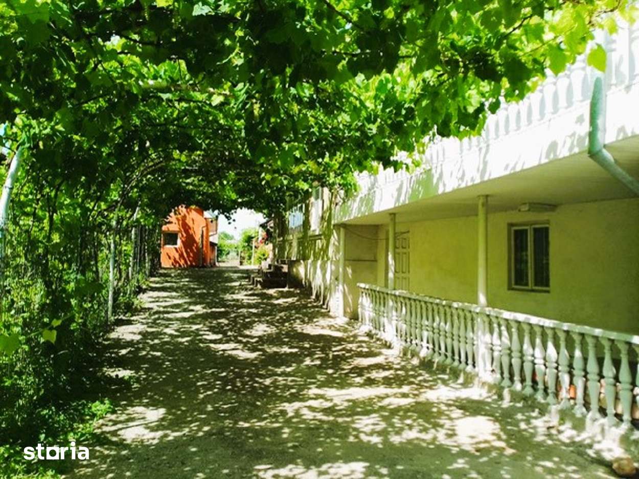 Gospodarie de vanzare in Plesoiu/Olt - Imagine principală: 3/13