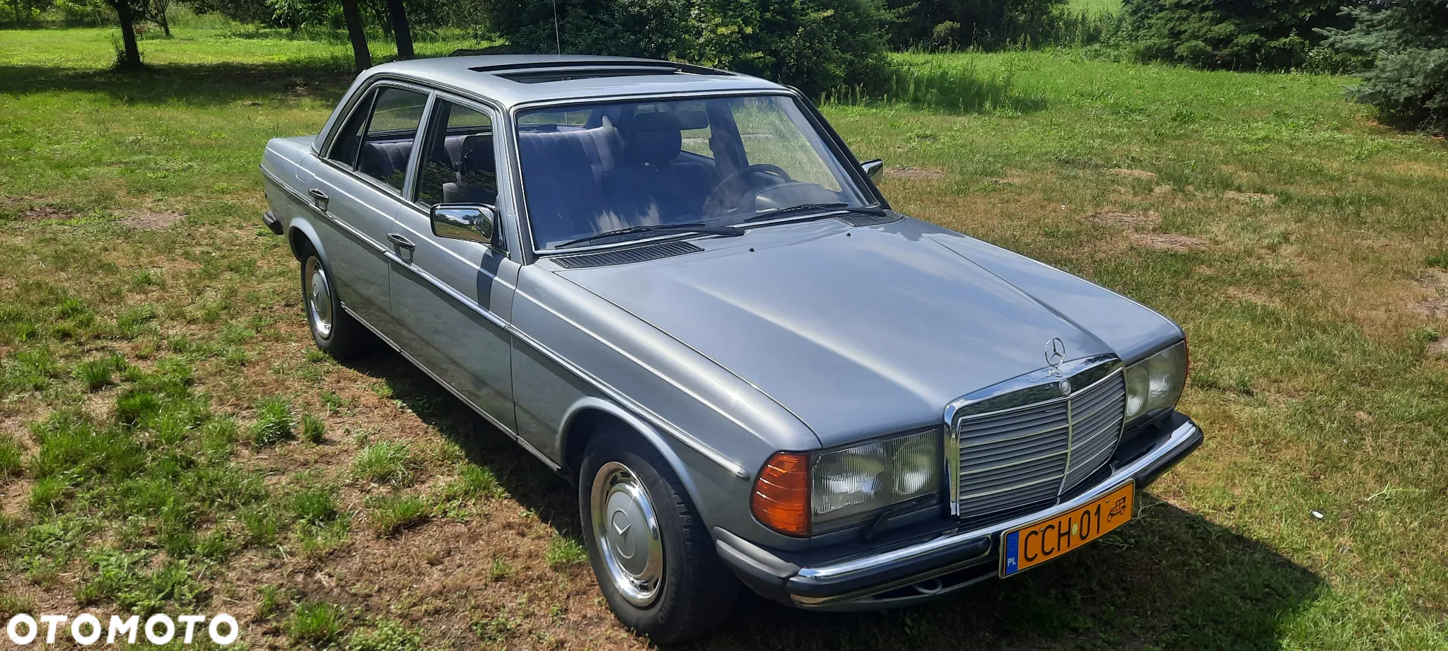 Mercedes-Benz W123 - 4