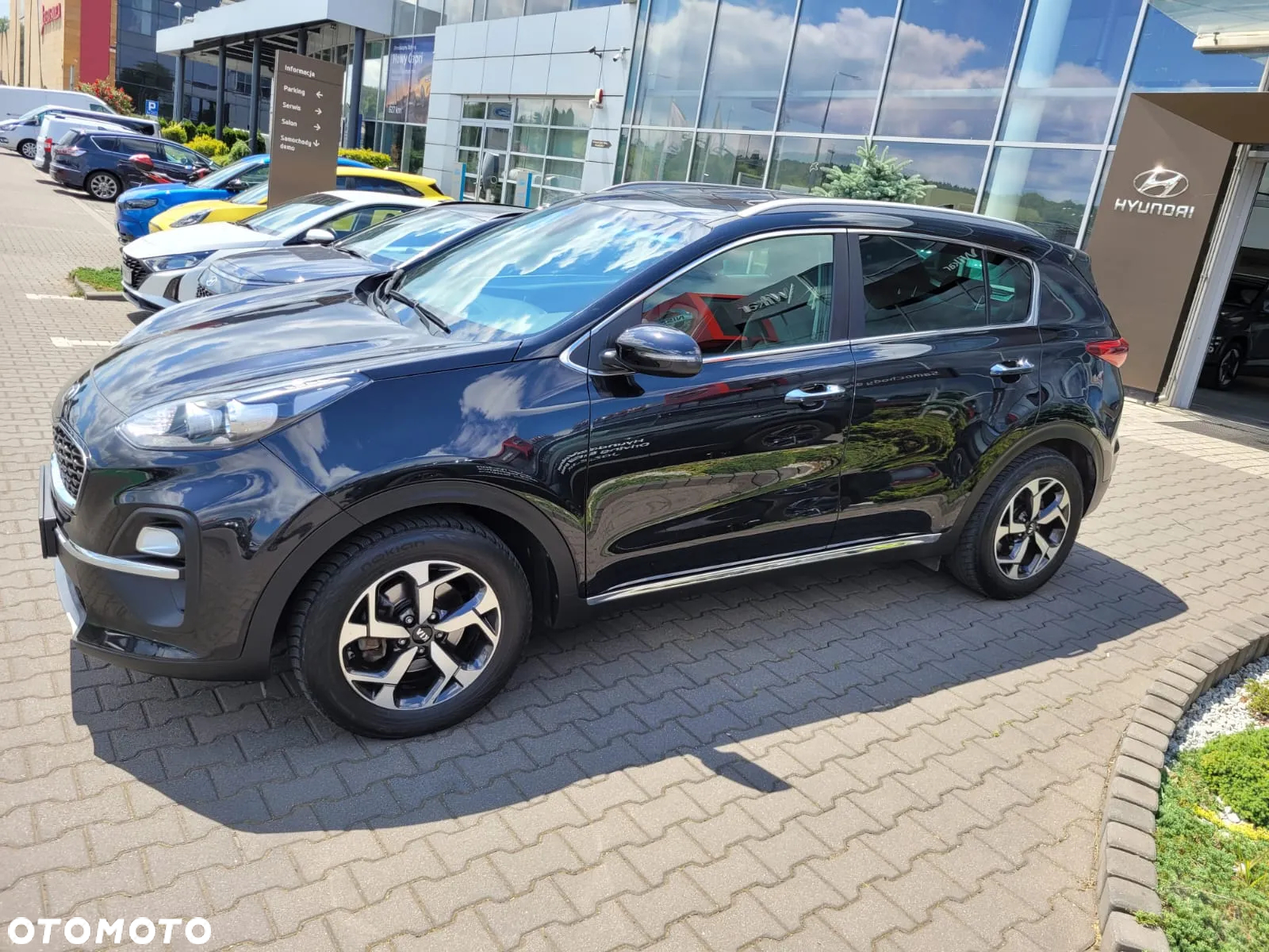 Kia Sportage 1.6 CRDI Black Edition Plus 2WD - 4