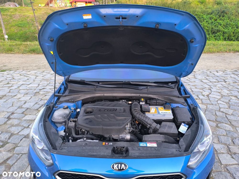 Kia ProCeed - 24