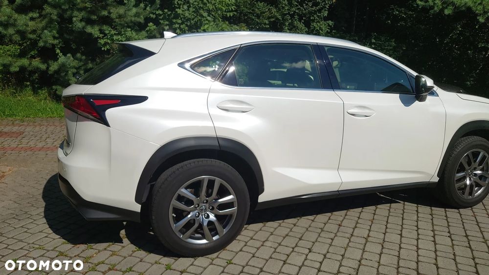 Lexus NX 300 F Sport AWD - 8