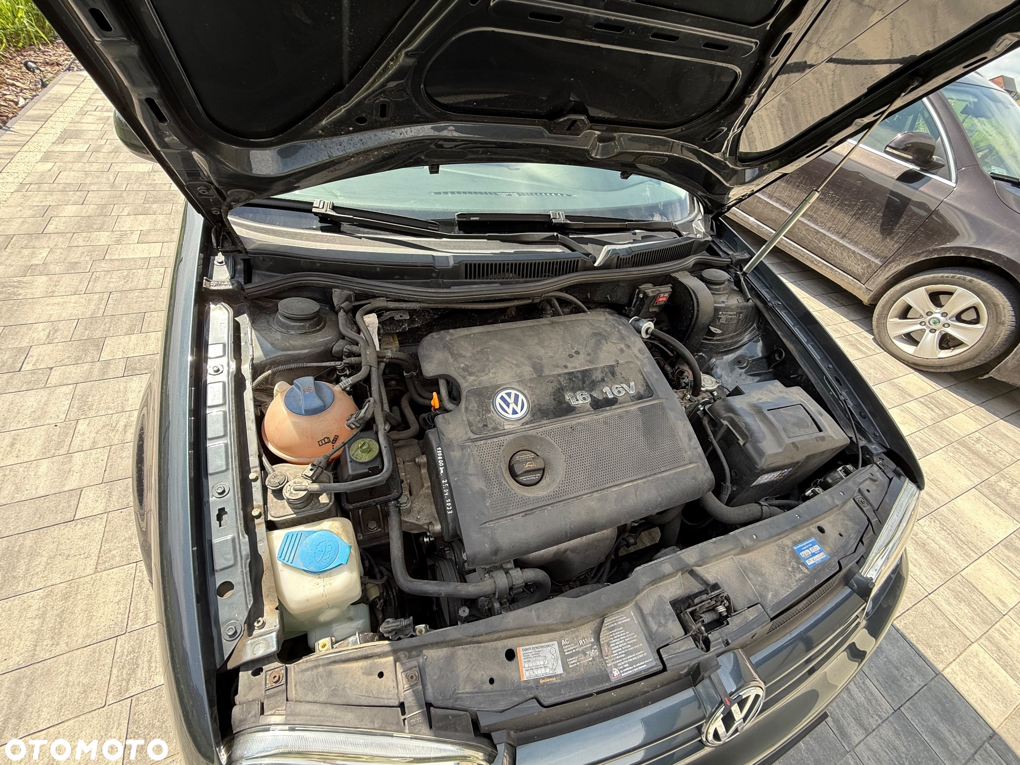 Volkswagen Golf - 11