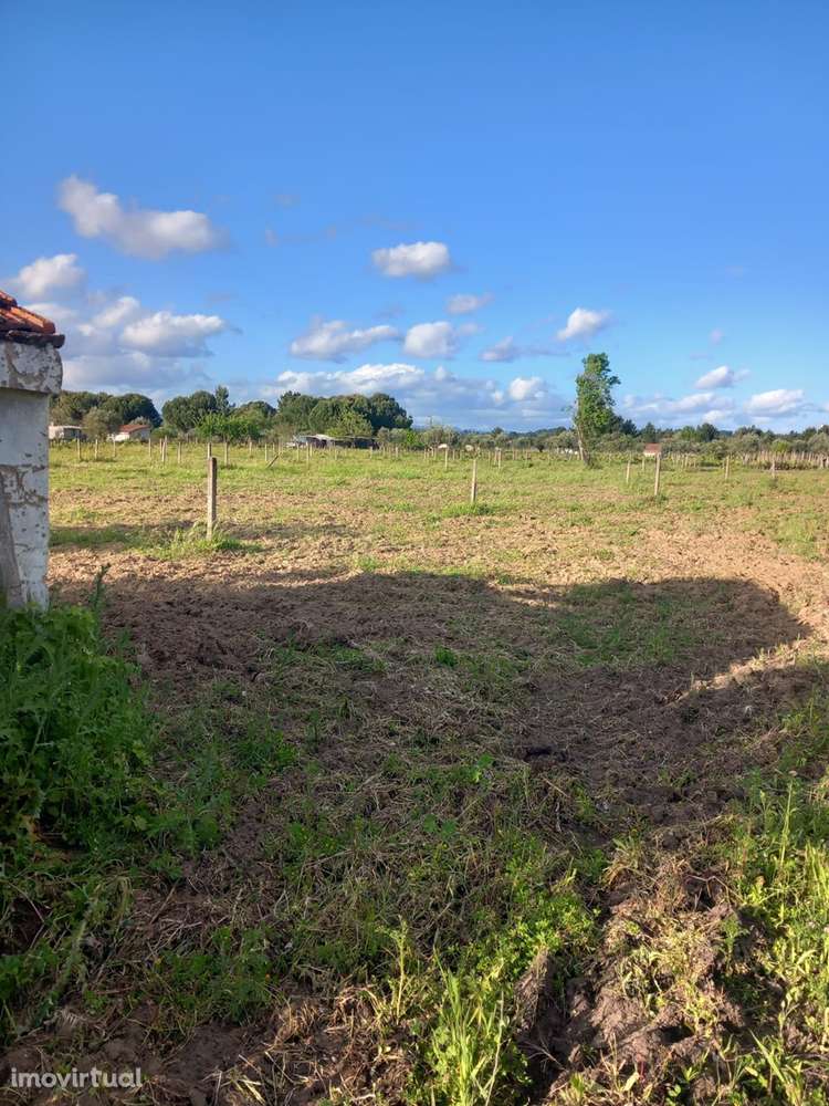 Terreno  Venda em São Miguel do Rio Torto e Rossio ao Sul do Tejo,Abra - Grande imagem: 2/3