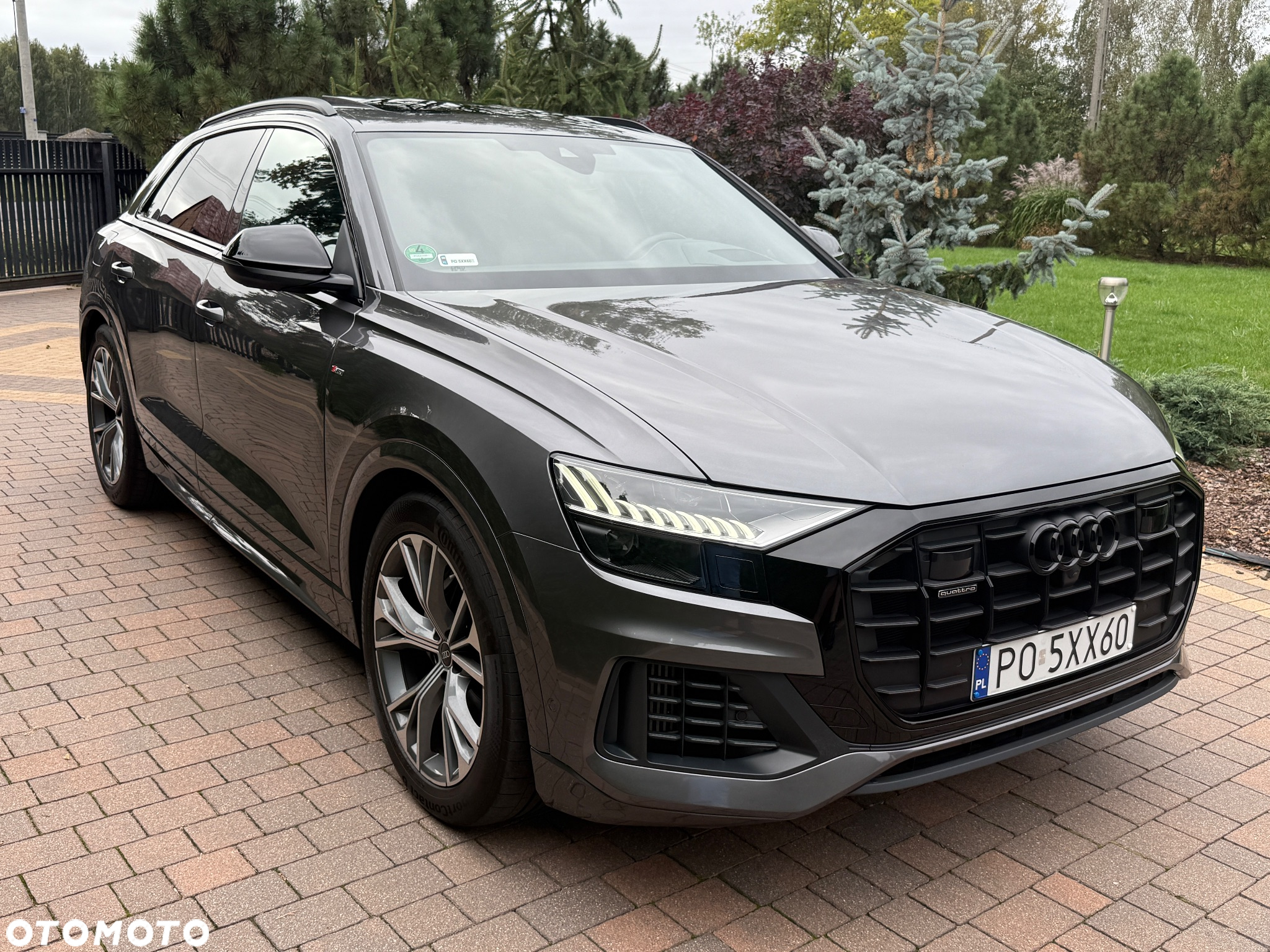 Audi Q8 - 6