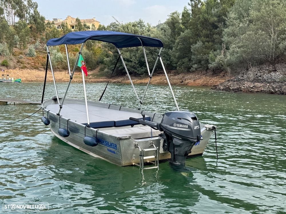 Quicksilver 450 Aluminio - 3