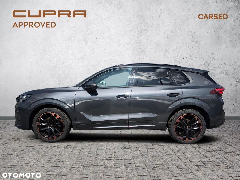 Cupra Terramar 2.0 TSI 4Drive VZ DSG - 4