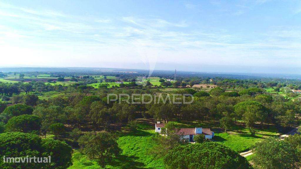 Herdade em Melides, vista mar - Grande imagem: 2/21