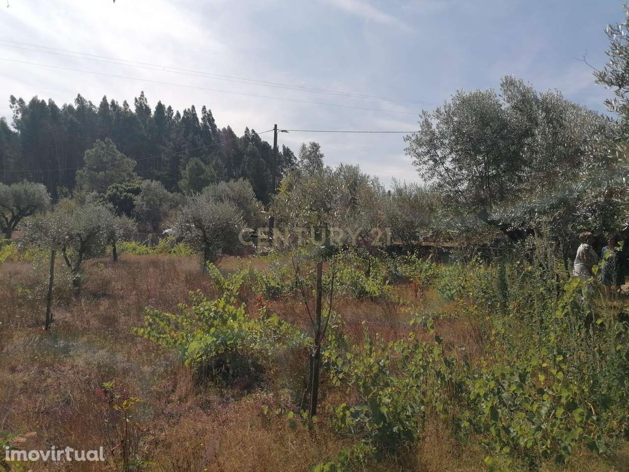 TERRENO COM 920 M2 - Grande imagem: 5/9