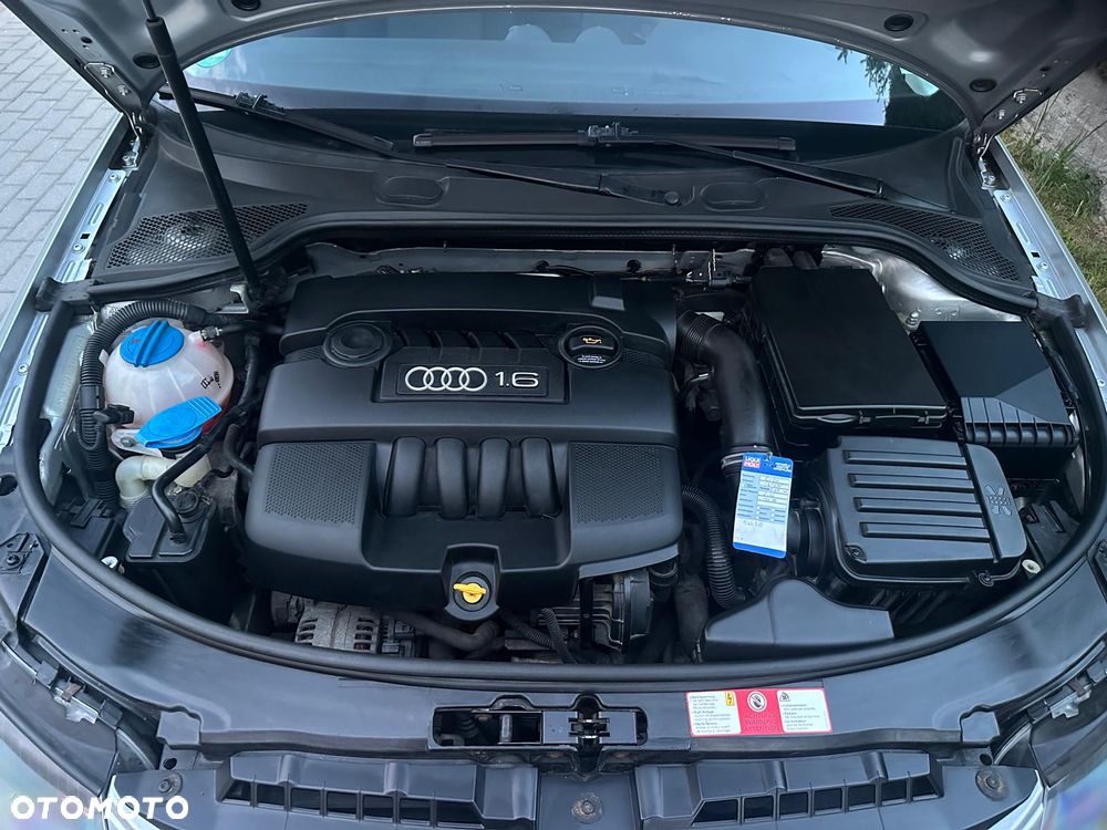 Audi A3 3-drzwiowe 1.6 Attraction - 11