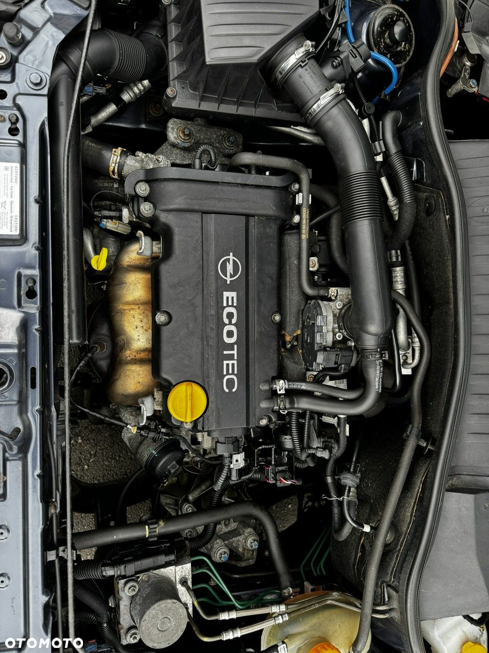 Opel Tigra Twin Top 1.4 (Enjoy) - 11