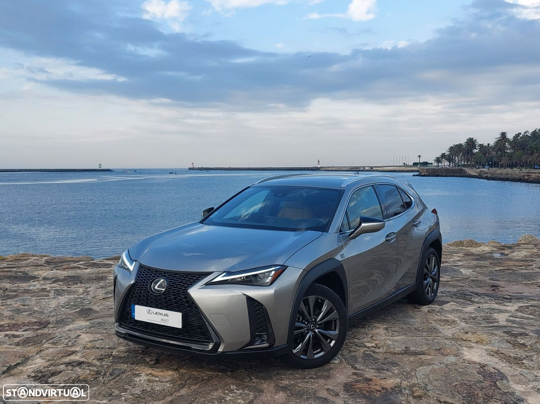 Lexus UX 250h - 2