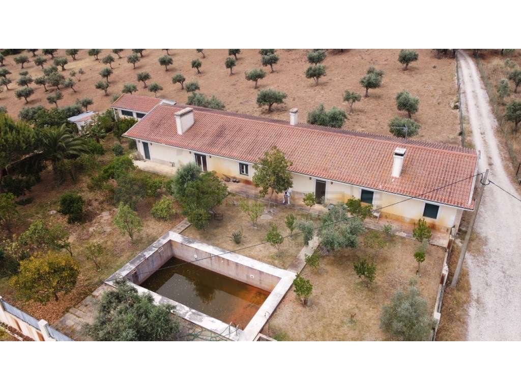 Excelente Monte em Estremoz - Grande imagem: 5/27