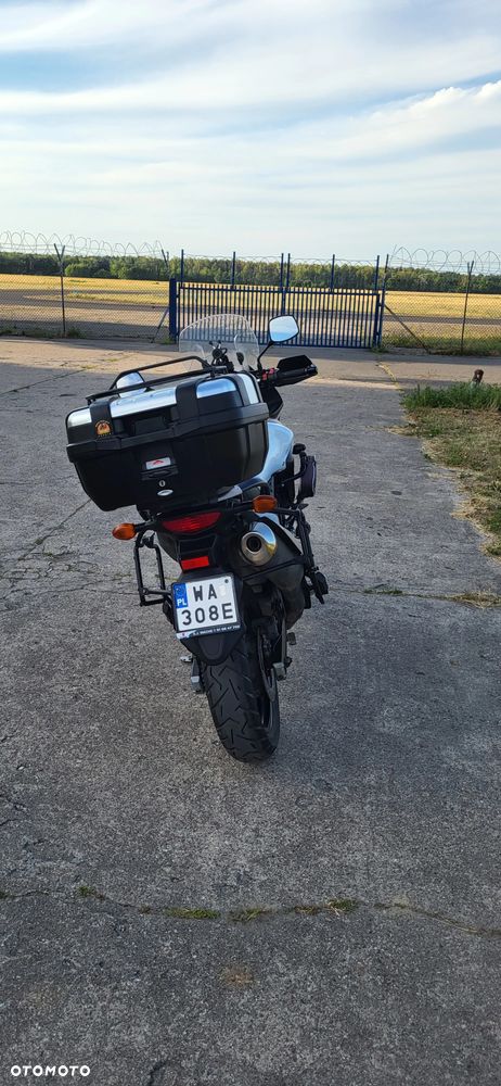 Suzuki DL - 19
